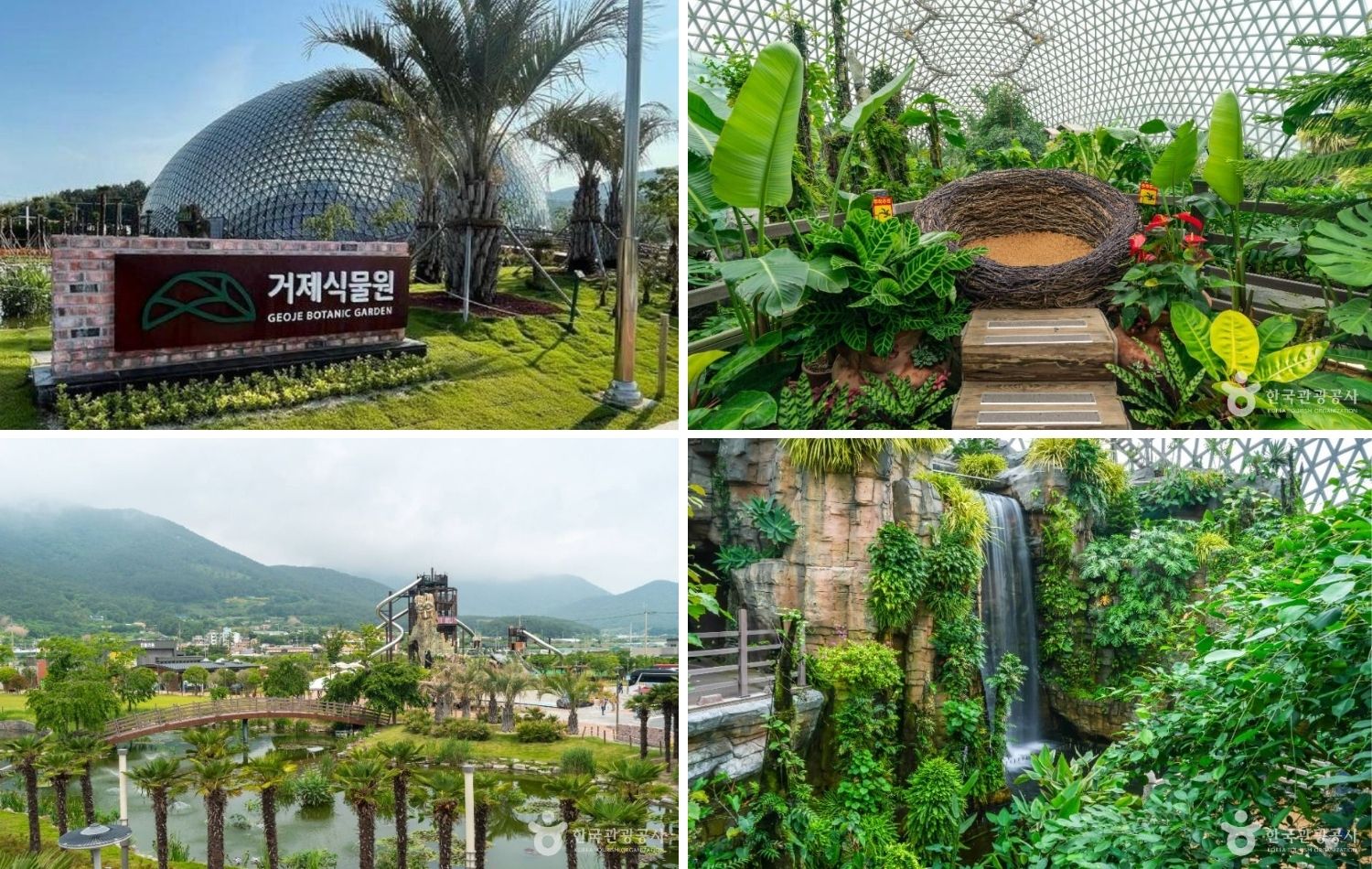 거제 식물원 정글돔